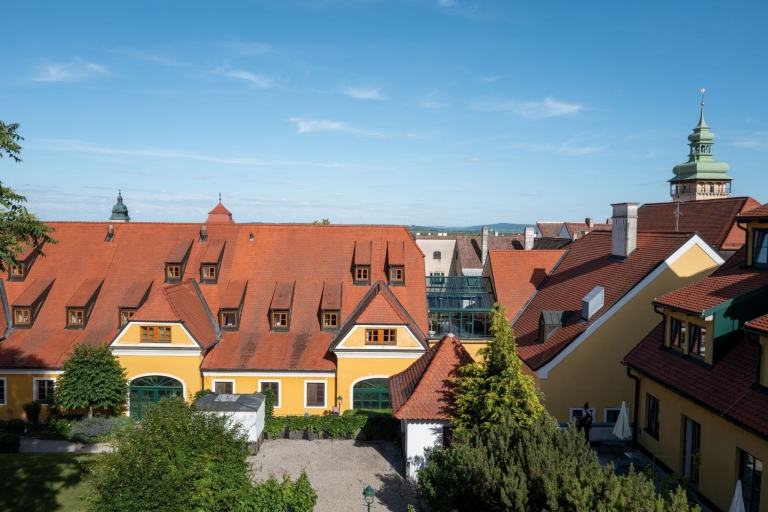 Dachansicht einer historischer Gebäude mit roten Dächern und grünen Fensterrahmen