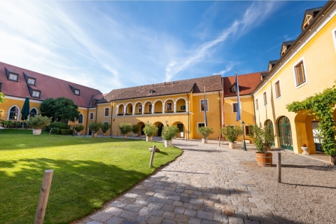 Ansicht eines historischen Gebäudes mit gelber Fassade und begrüntem Innenhof